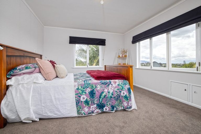 Photo of property in 232 Wallace Terrace, Te Awamutu, 3800