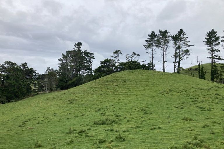 Photo of property in 254 Lincoln Road, Inglewood, 4389