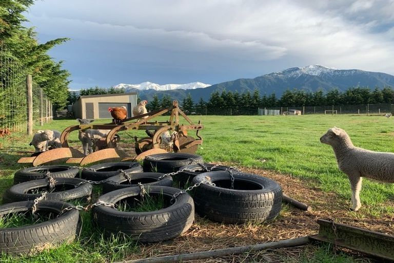 Photo of property in 10 Lake Hills Road, Inland Road, Kaikoura, 7373