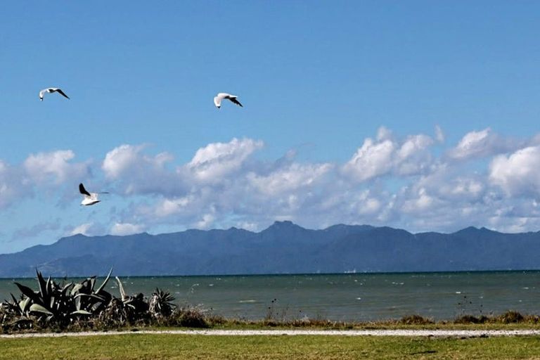 Photo of property in 10 Pohutukawa Avenue, Kaiaua, Pokeno, 2473