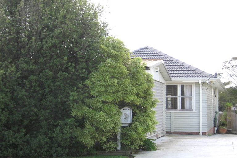 Photo of property in 3 Chilcott Road, Henderson, Auckland, 0612