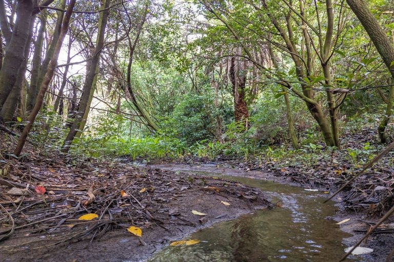 Photo of property in 12 Oceana Drive, Welcome Bay, Tauranga, 3175