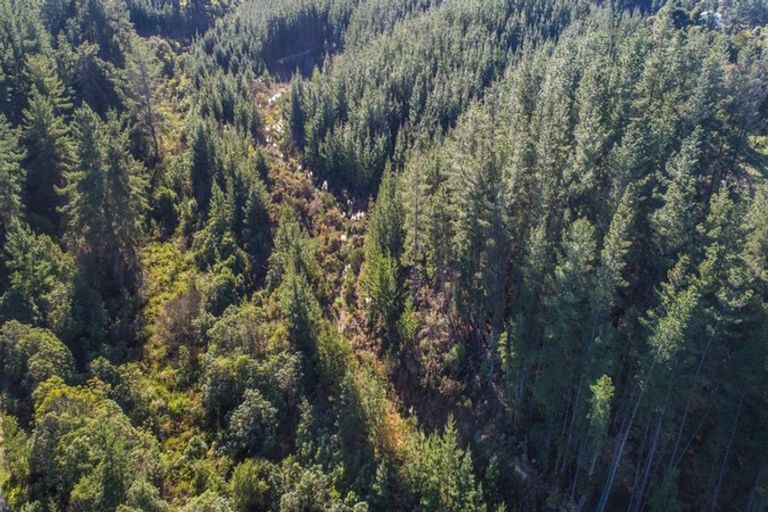 Photo of property in 168 Seaton Valley Road, Upper Moutere, 7173