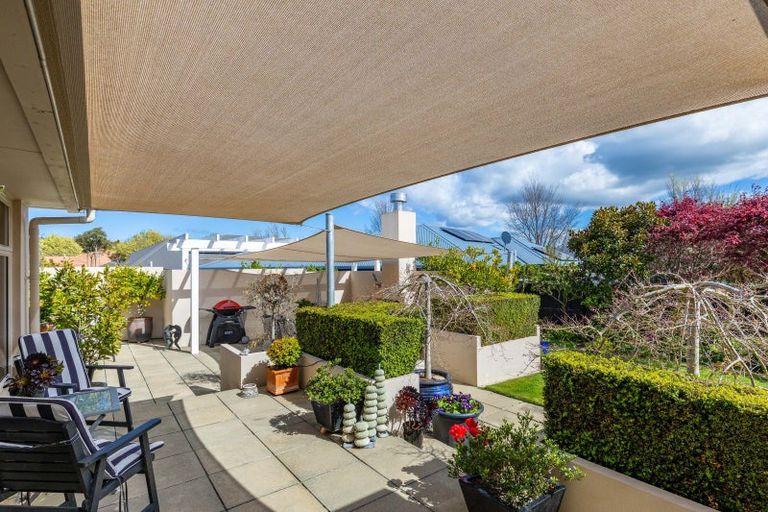 Photo of property in 33 Elmwood Avenue, Witherlea, Blenheim, 7201