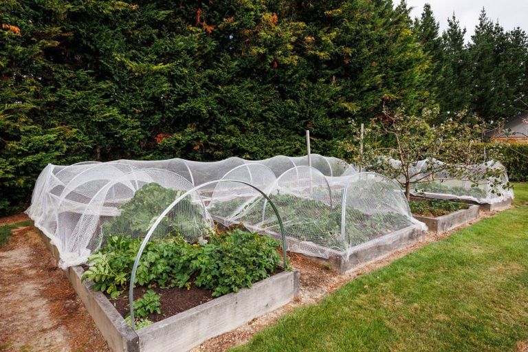 Photo of property in 39 Branksome Place, Aokautere, Palmerston North, 4471