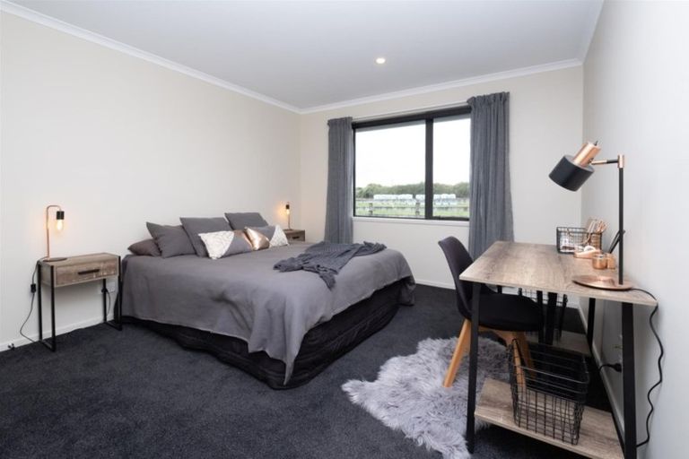 Photo of property in 113 Swansea Road, Stratford, 4332