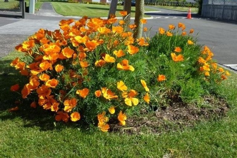 Photo of property in 20 Fire Station Lane, Trentham, Upper Hutt, 5018