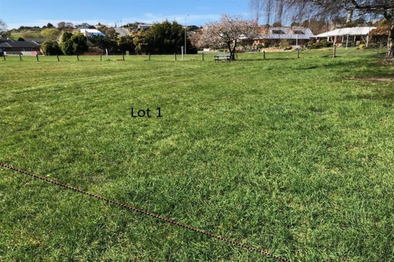 Photo of property in 50 Waimea Avenue, Calton Hill, Dunedin, 9012