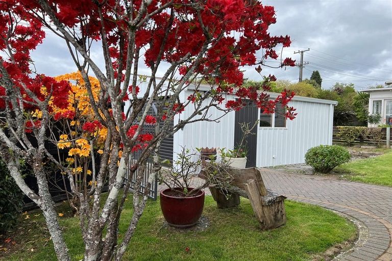 Photo of property in 21 Hood Street, Ngongotaha, Rotorua, 3010