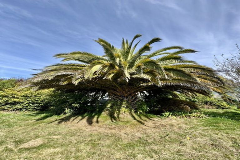 Photo of property in 28 Aynsley Street, Parkside, Timaru, 7910