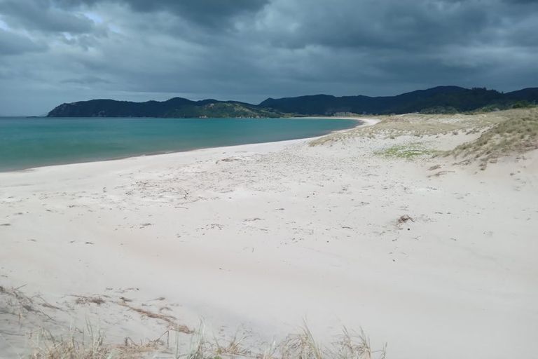 Photo of property in 323c Waikawau Beach Road, Waikawau, Coromandel, 3584