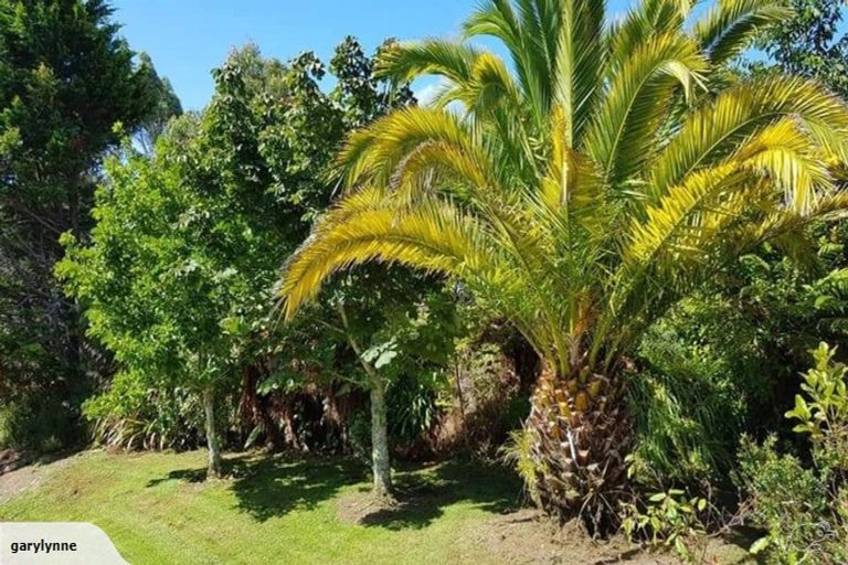 Photo of property in 136 Alma Road, Westport, 7892