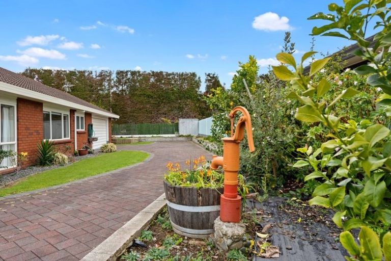 Photo of property in 32 Bayfair Drive, Mount Maunganui, 3116
