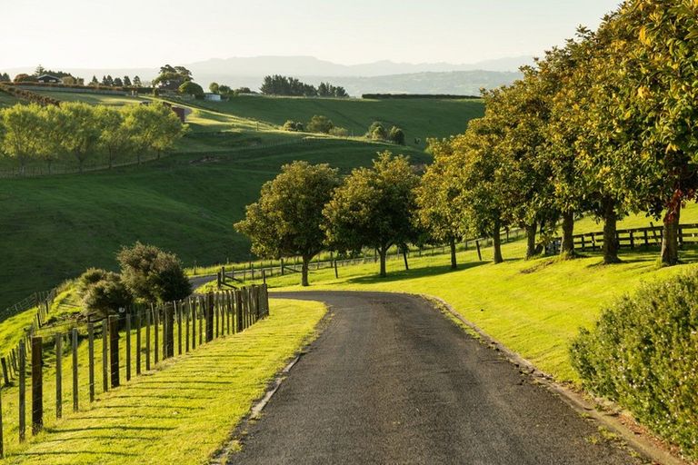 Photo of property in 11f Adrine Lane, Ohauiti, Tauranga, 3173