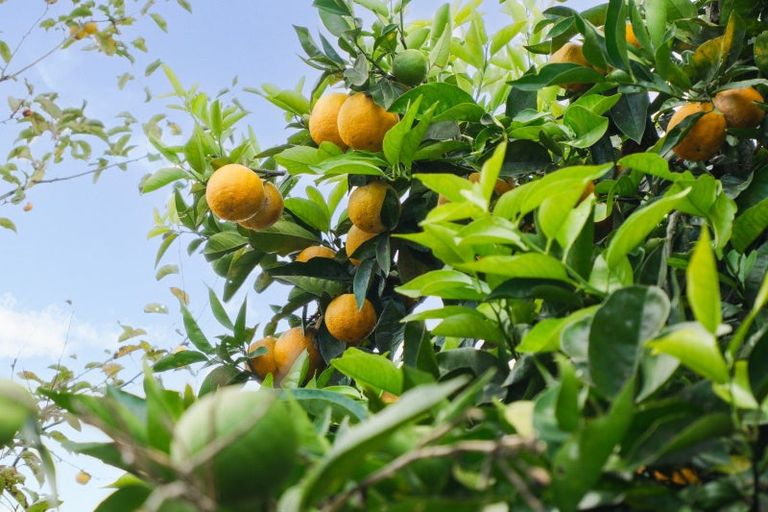 Photo of property in 11 Glenfield Road, Owhata, Rotorua, 3010