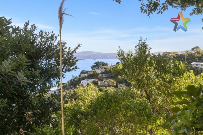 Photo of property in 30 Waitohu Road, York Bay, Lower Hutt, 5013