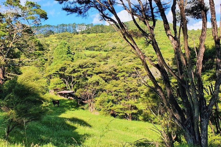 Photo of property in 41 Martin Road, Omapere, Kaikohe, 0473