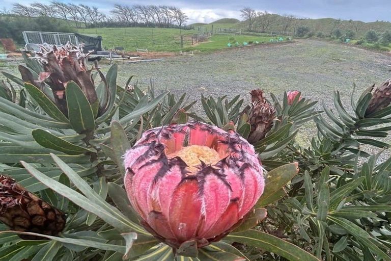 Photo of property in 410 Mahuta Road, Mahuta, Dargaville, 0371