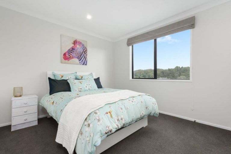 Photo of property in 81 Leyland Road, Whakamarama, Tauranga, 3179