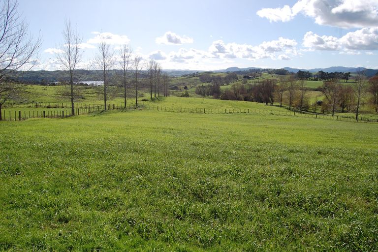 Photo of property in 54 Rangiora Road, Kaiwaka, 0573