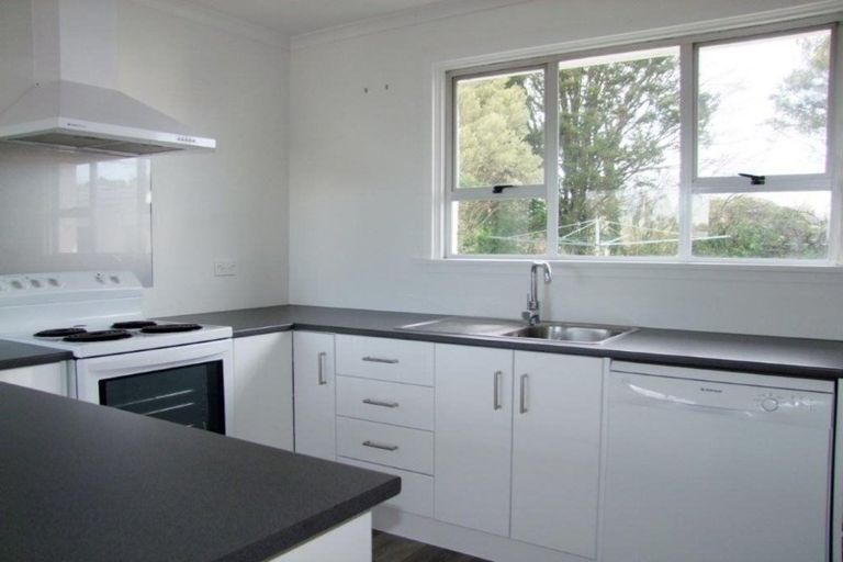 Photo of property in 217 Union Street, Milton, 9220