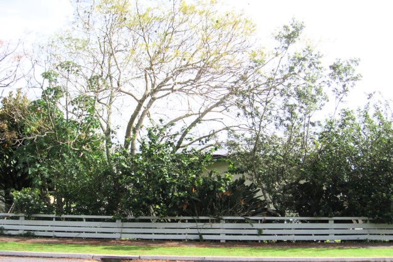 Photo of property in 427 Thames Coast Sh25 Road, Te Puru, Thames, 3575