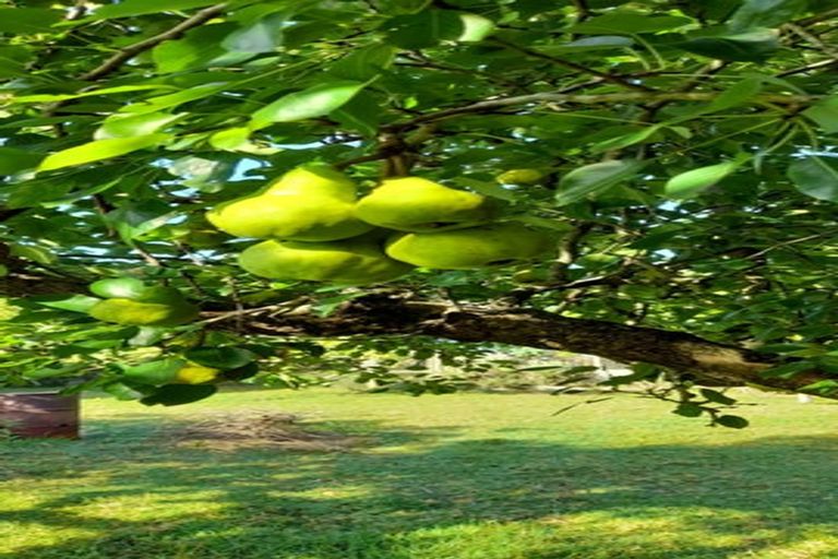 Photo of property in 190 Gleeson Road, Pollok, Waiuku, 2683