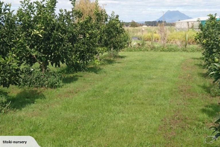 Photo of property in 324 Greig Road, Matata, Whakatane, 3194