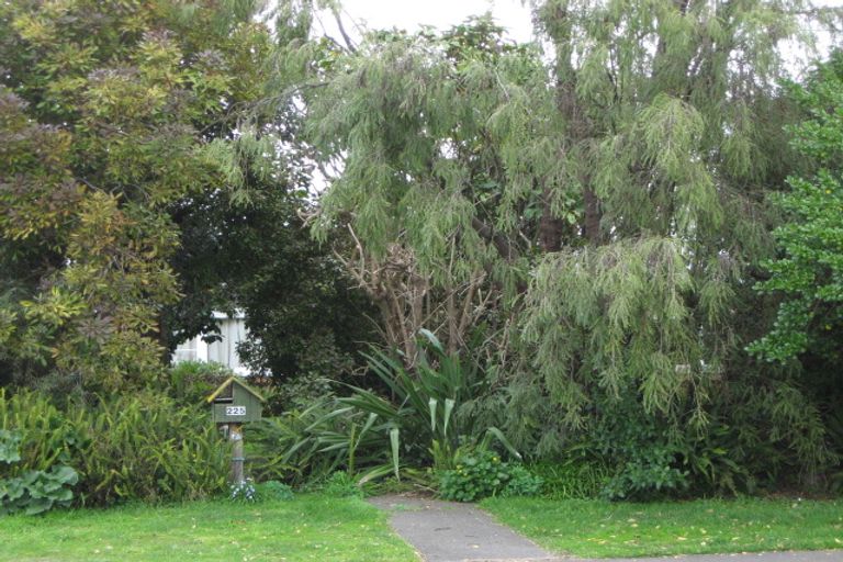 Photo of property in 225 Saint Leonards Avenue, Saint Leonards, Hastings, 4120