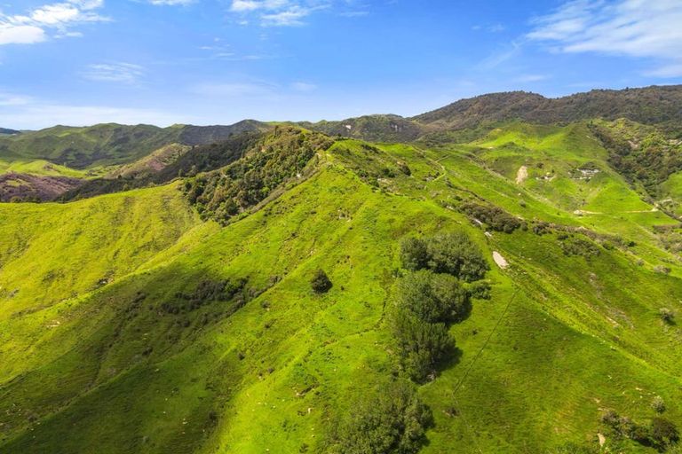 Photo of property in 839 Ruatiti Road, Raetihi, 4696