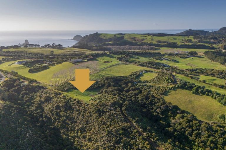 Photo of property in 404a Lees Road, Hahei, Whitianga, 3591