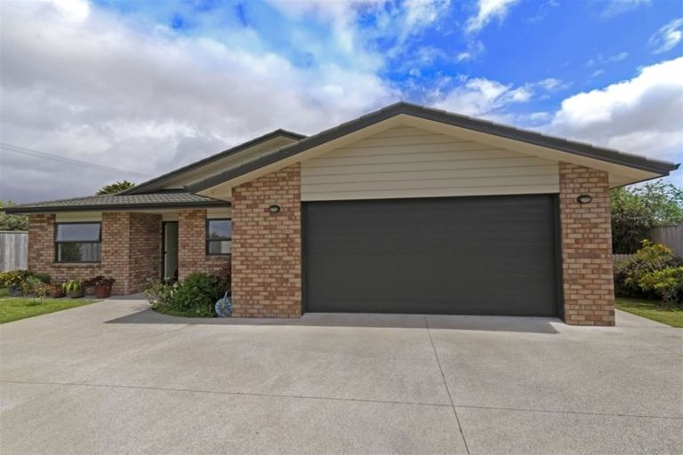 Photo of property in 56a Buscomb Avenue, Henderson, Auckland, 0610