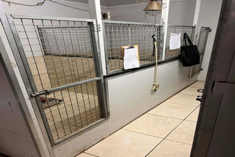 Photo of property in 140 Mako Mako Road, Levin, 5510