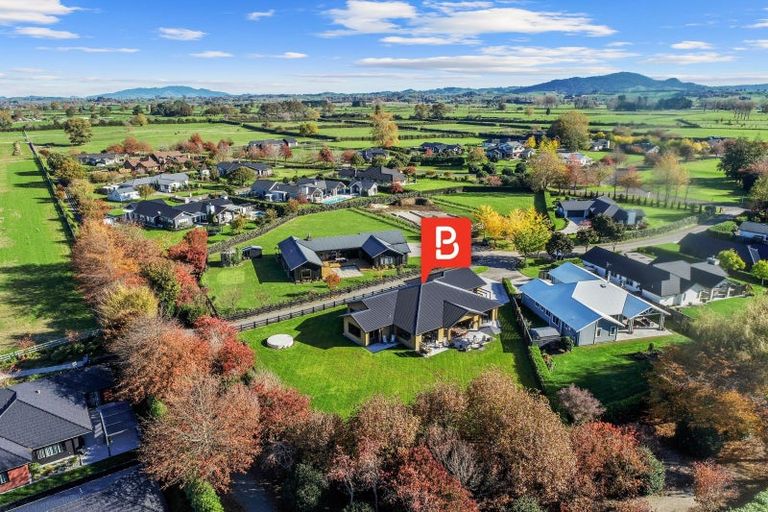 Photo of property in 9 Cliftondell Close, Matamata, 3400