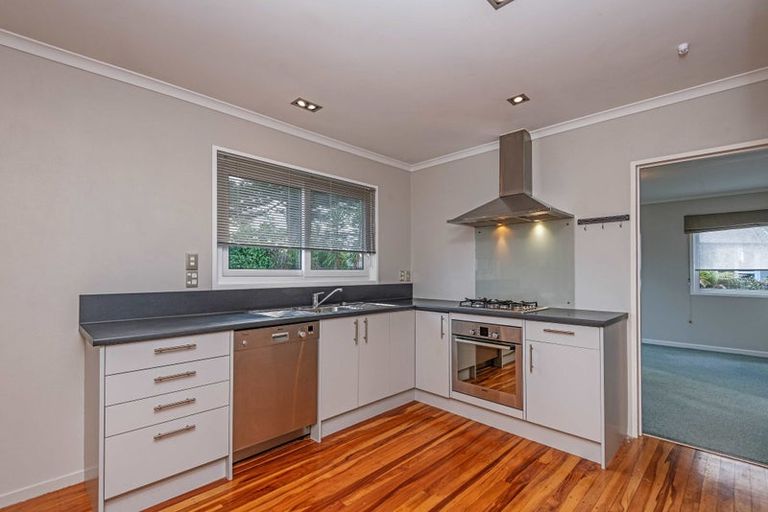 Photo of property in 95 Dittmer Drive, West End, Palmerston North, 4412