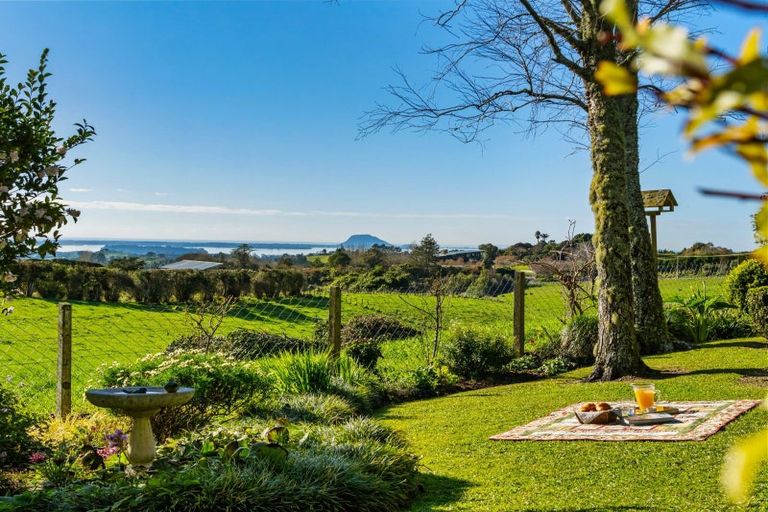 Photo of property in 533 Wainui Road South, Whakamarama, Tauranga, 3180