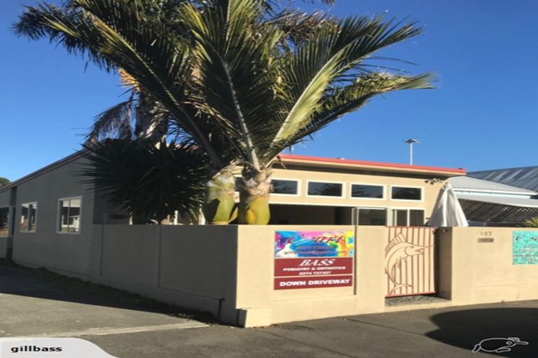 Photo of property in 107 Waghorne Street, Ahuriri, Napier, 4110