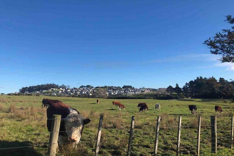 Photo of property in 87 Totara Views Drive, Silverdale, 0932