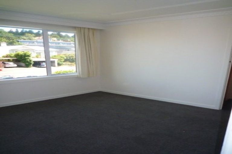 Photo of property in 50 Russell Street, Dunedin Central, Dunedin, 9016