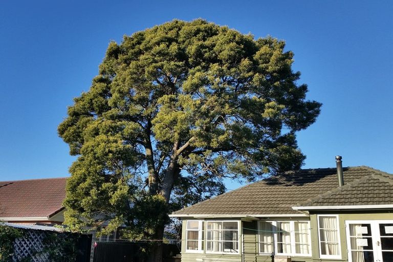 Photo of property in 13 Hartnell Place, Avonside, Christchurch, 8061