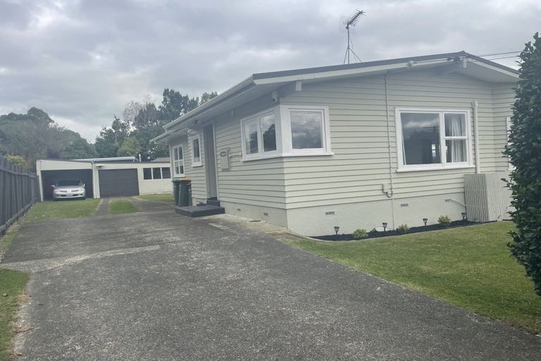 Photo of property in 41 Fitzroy Avenue, Fitzroy, Hamilton, 3206