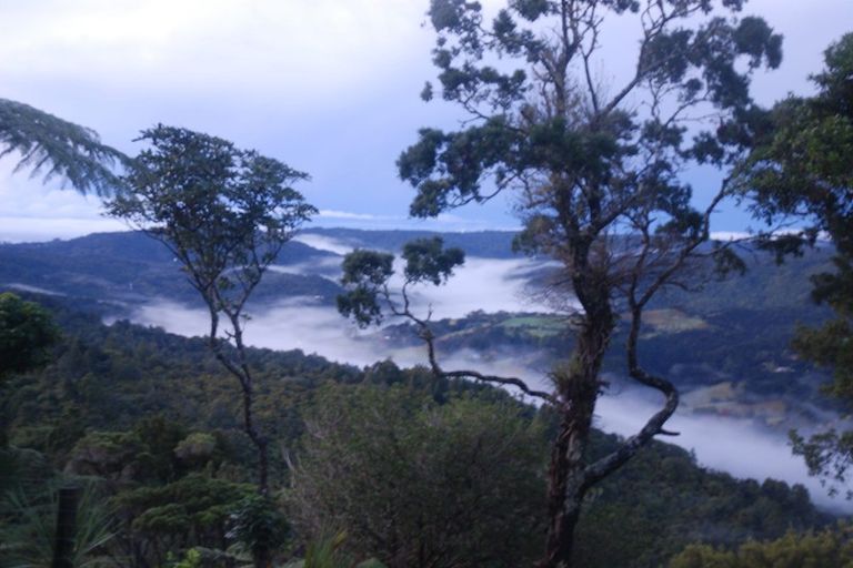 Photo of property in 45 Jonkers Road, Waitakere, Henderson, 0782