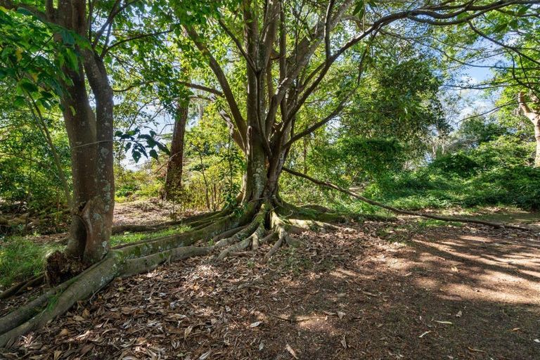 Photo of property in 218 Springfield Road, Springfield, Whangarei, 0178