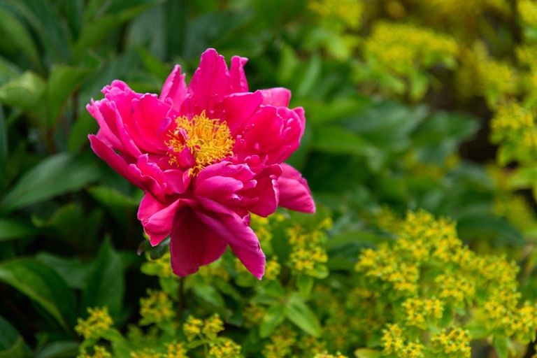 Photo of property in 12 Dewe Avenue, Feilding, 4702