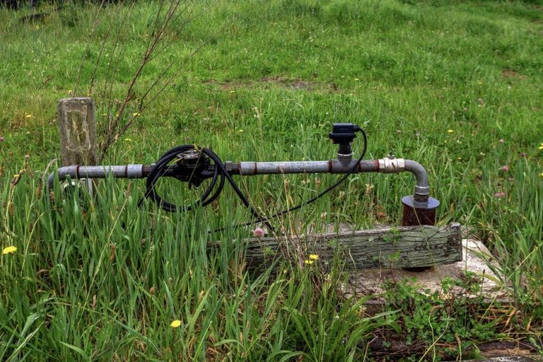 Photo of property in 165 Motu Road, Toatoa, Opotiki, 3197