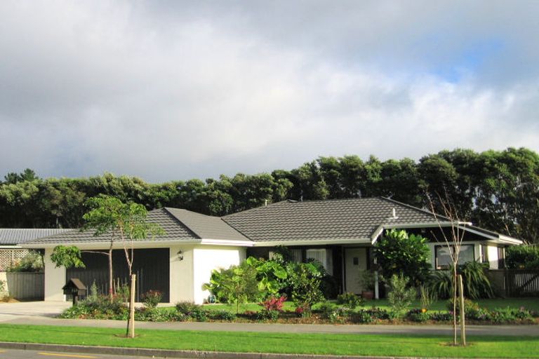 Photo of property in 143 Belvedere Avenue, Waikanae, 5036