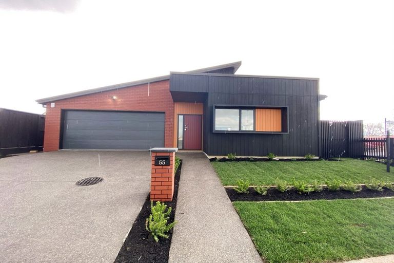 Photo of property in 55 Earp Crescent, Chartwell, Hamilton, 3210