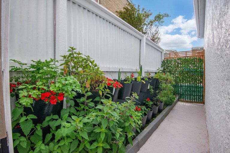 Photo of property in 6 Mccrea Street, Mornington, Dunedin, 9011