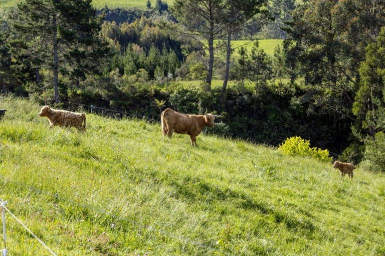 Photo of property in 1/394 Orakei Korako Road, Ohakuri, Reporoa, 3083