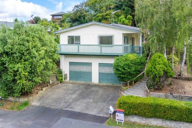 Photo of property in 56 Hazelwood Avenue, Dinsdale, Hamilton, 3204